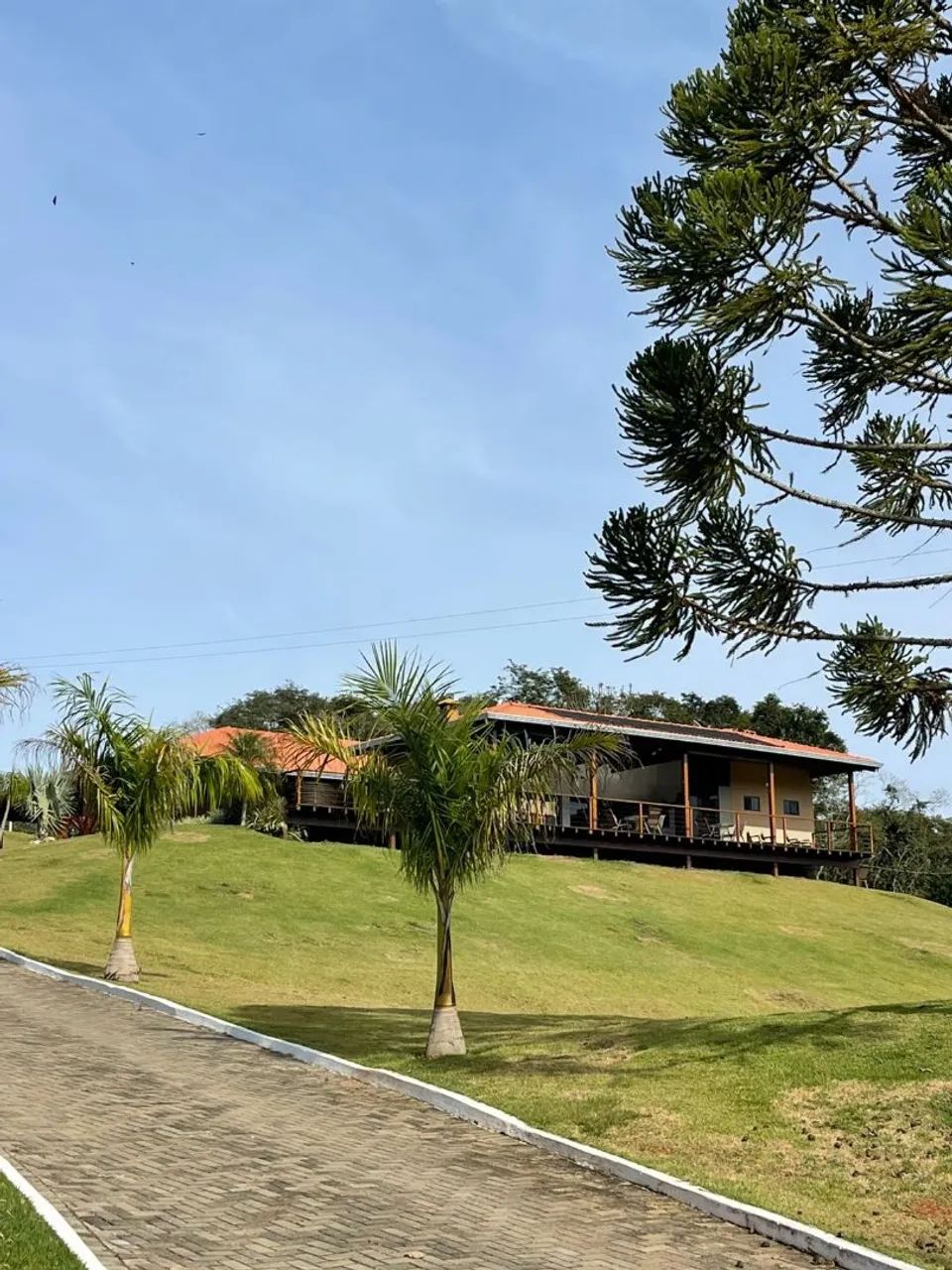 Foto - Londrina - Carnascialli