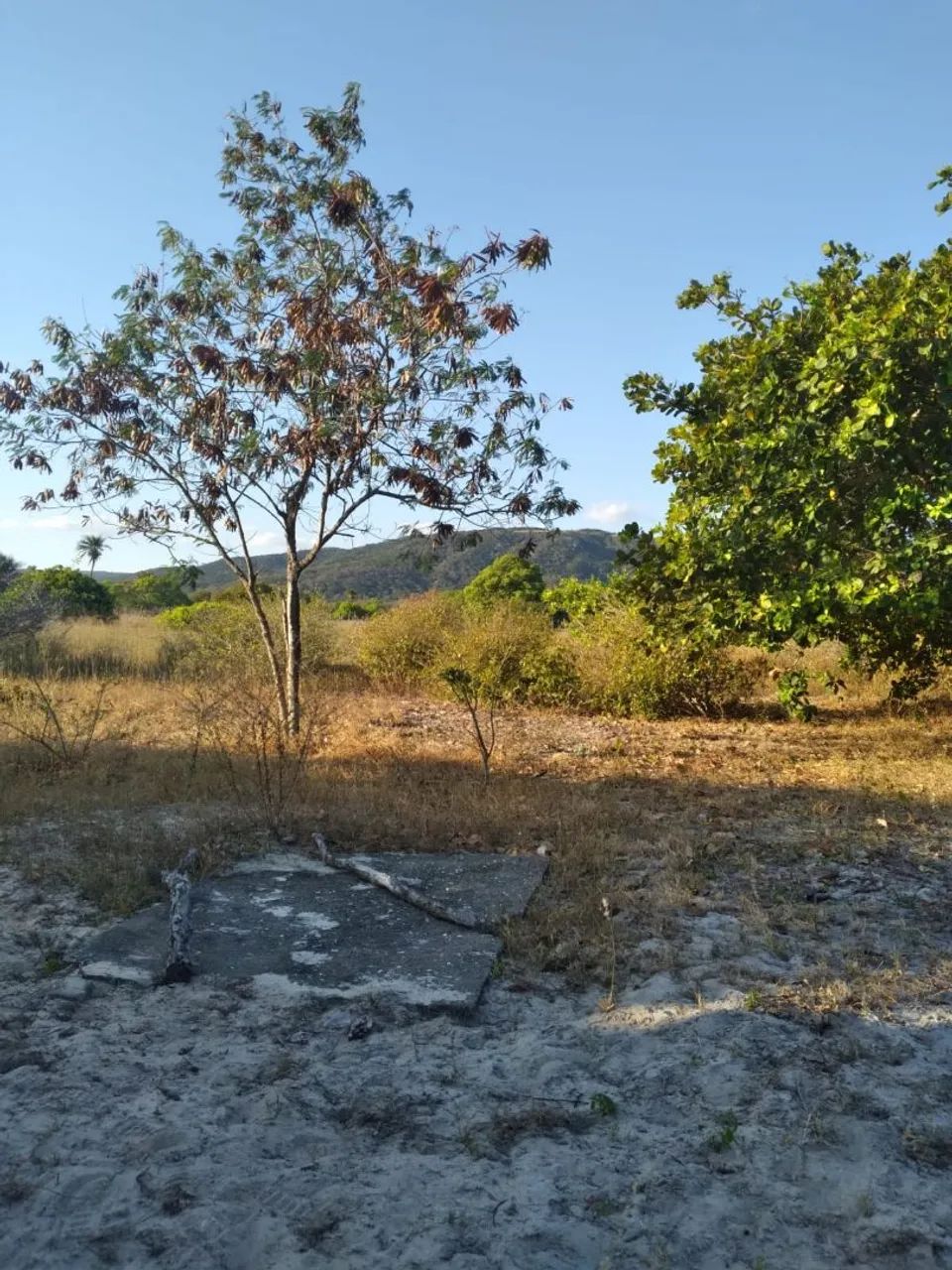Vendo sítio! - Foto 5