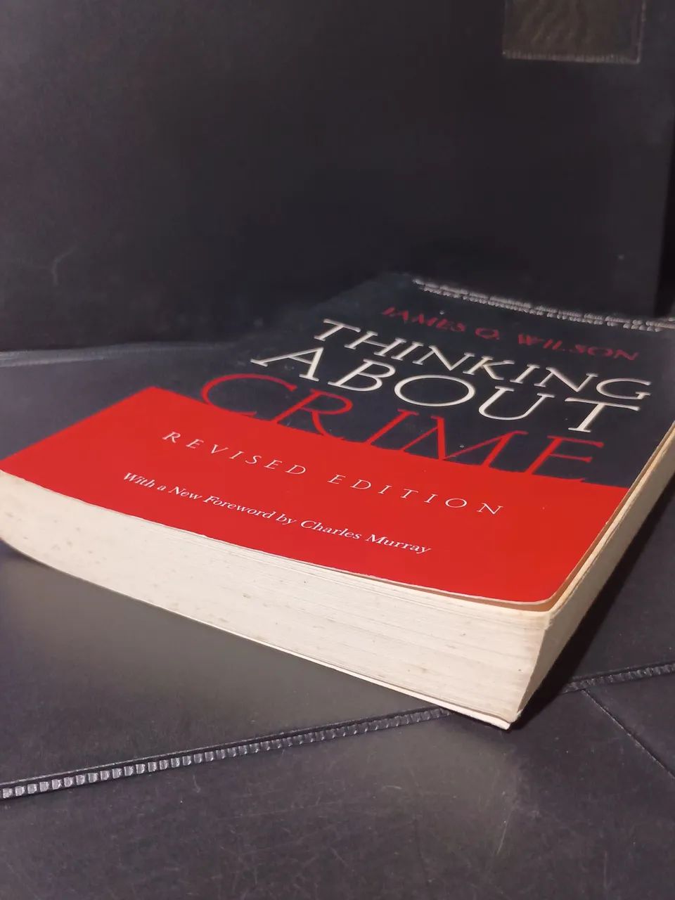 livro da imagem é o clássico "Thinking About Crime" - Foto 4
