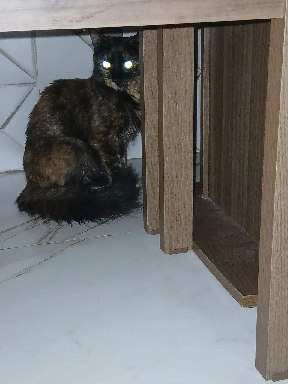 Doa-se  gata 