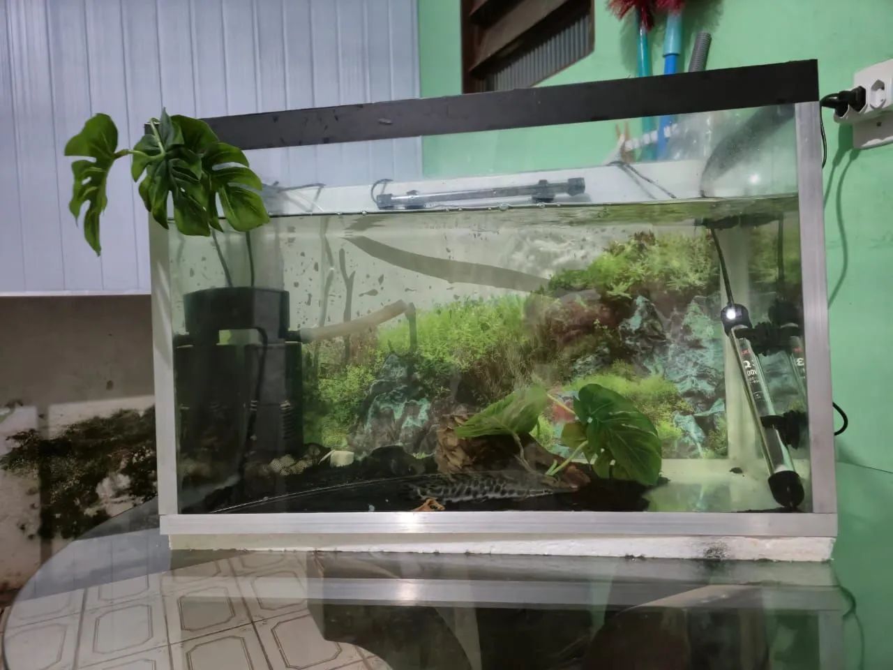 Aquário 60x30x40/ 72lts - Foto 3