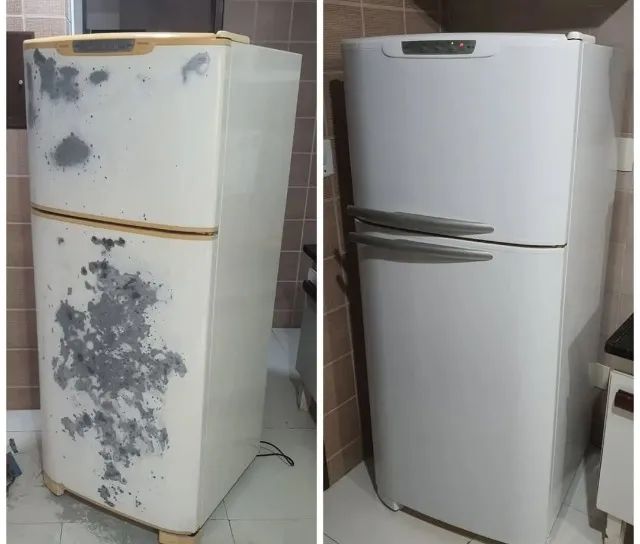 geladeira renova - Foto 5