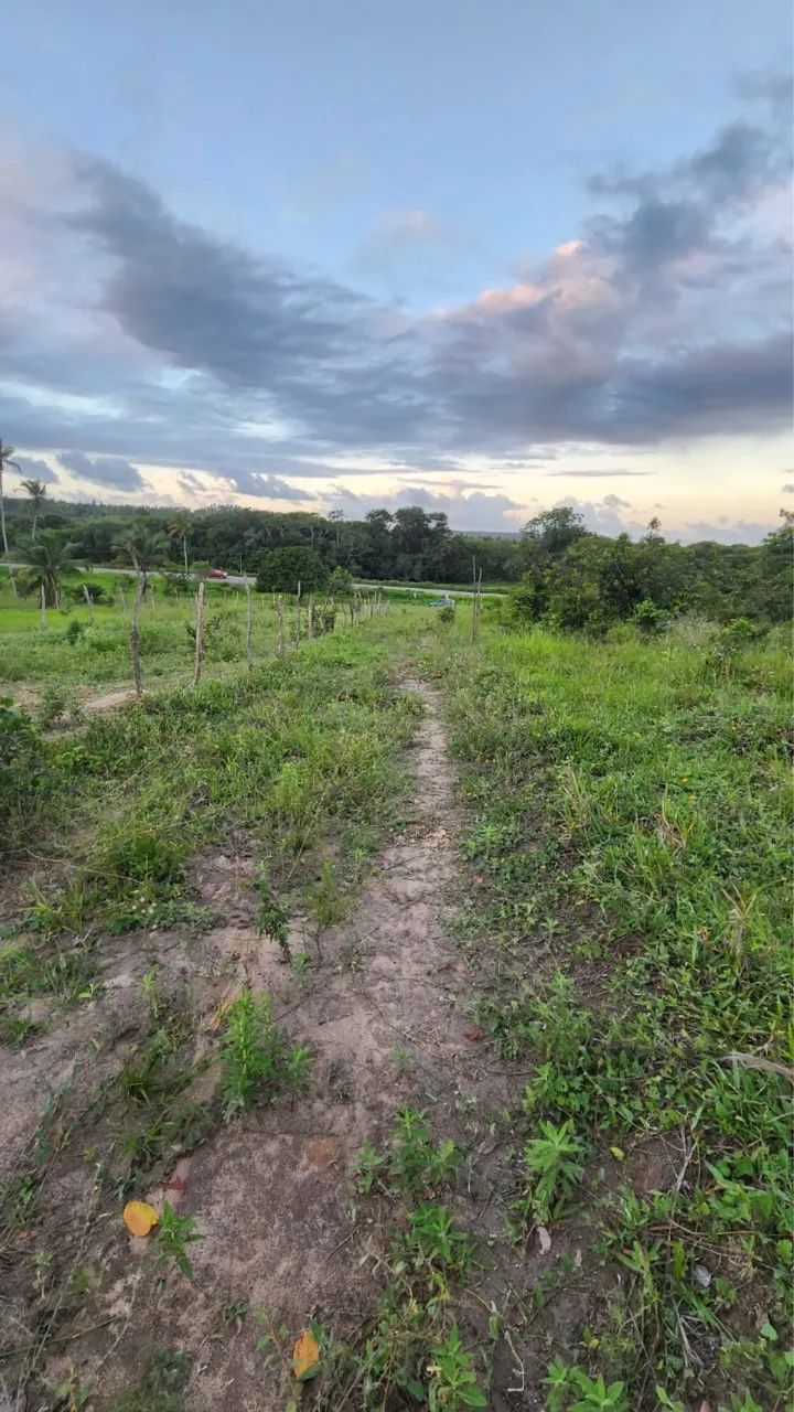 Vendo terrenos próximos a santo Amaro - Foto 3