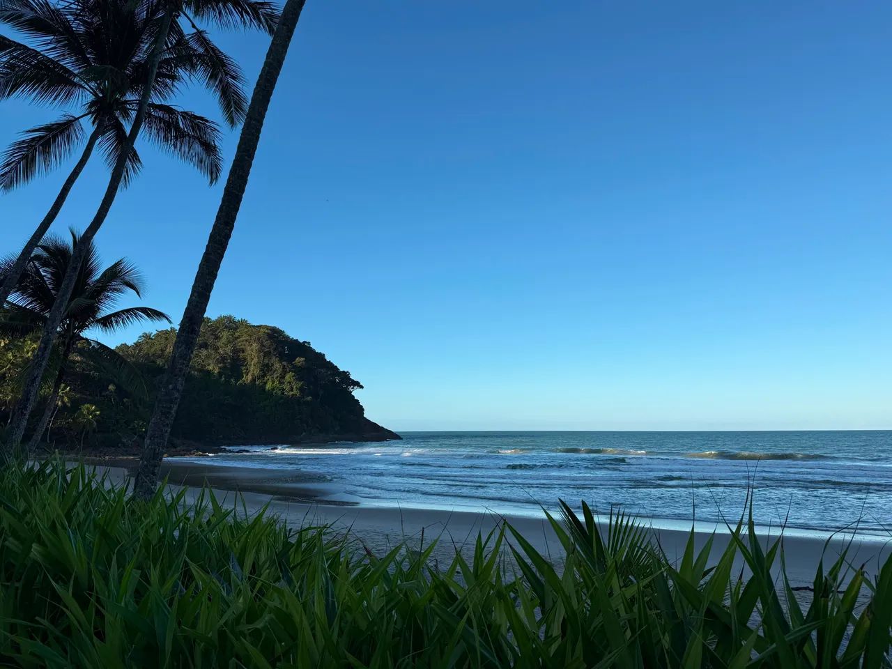 Vendo Lotes Com escritura de 500 a 800 m2 Itacaré Ba  - Foto 4