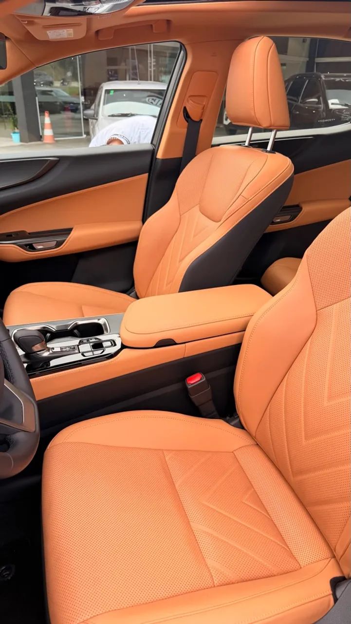 Lexus NX-450h+ AWD 2.5 16V Aut. (Híbrido), foto 11 de 13