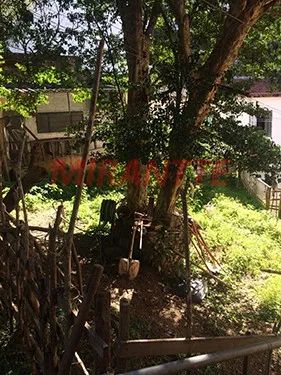 Terreno de 495m² em Sumaré - Foto 2