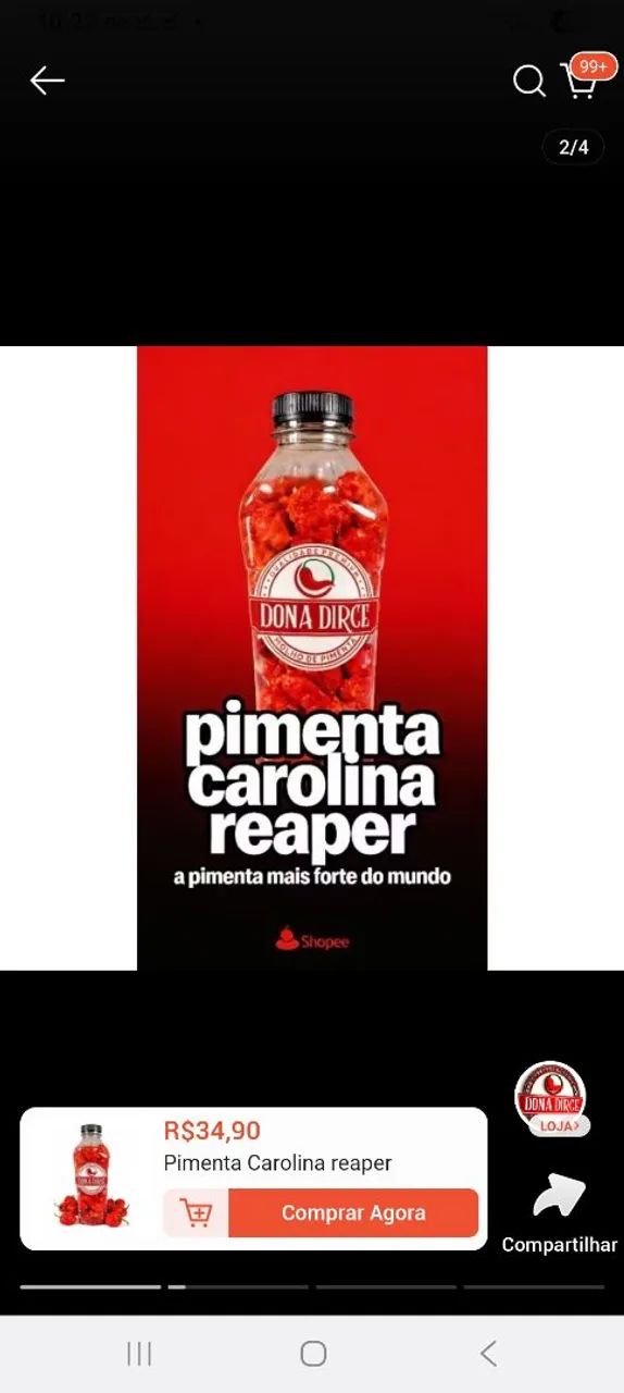 Pimentas Carolina reaper  - Foto 3