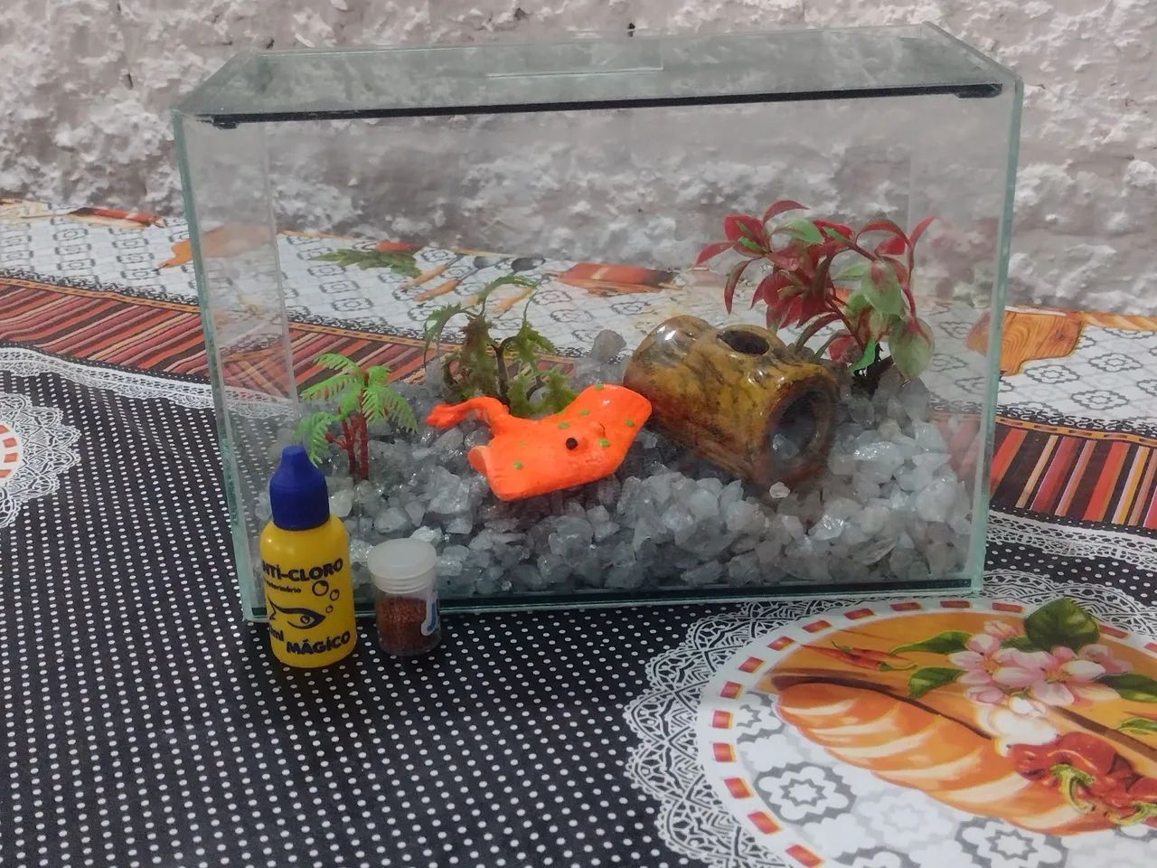 AQUÁRIO 5 LITROS COMPLETO+ ANTICLORO + RAÇÃO - ITAPETININGA  - Foto 6