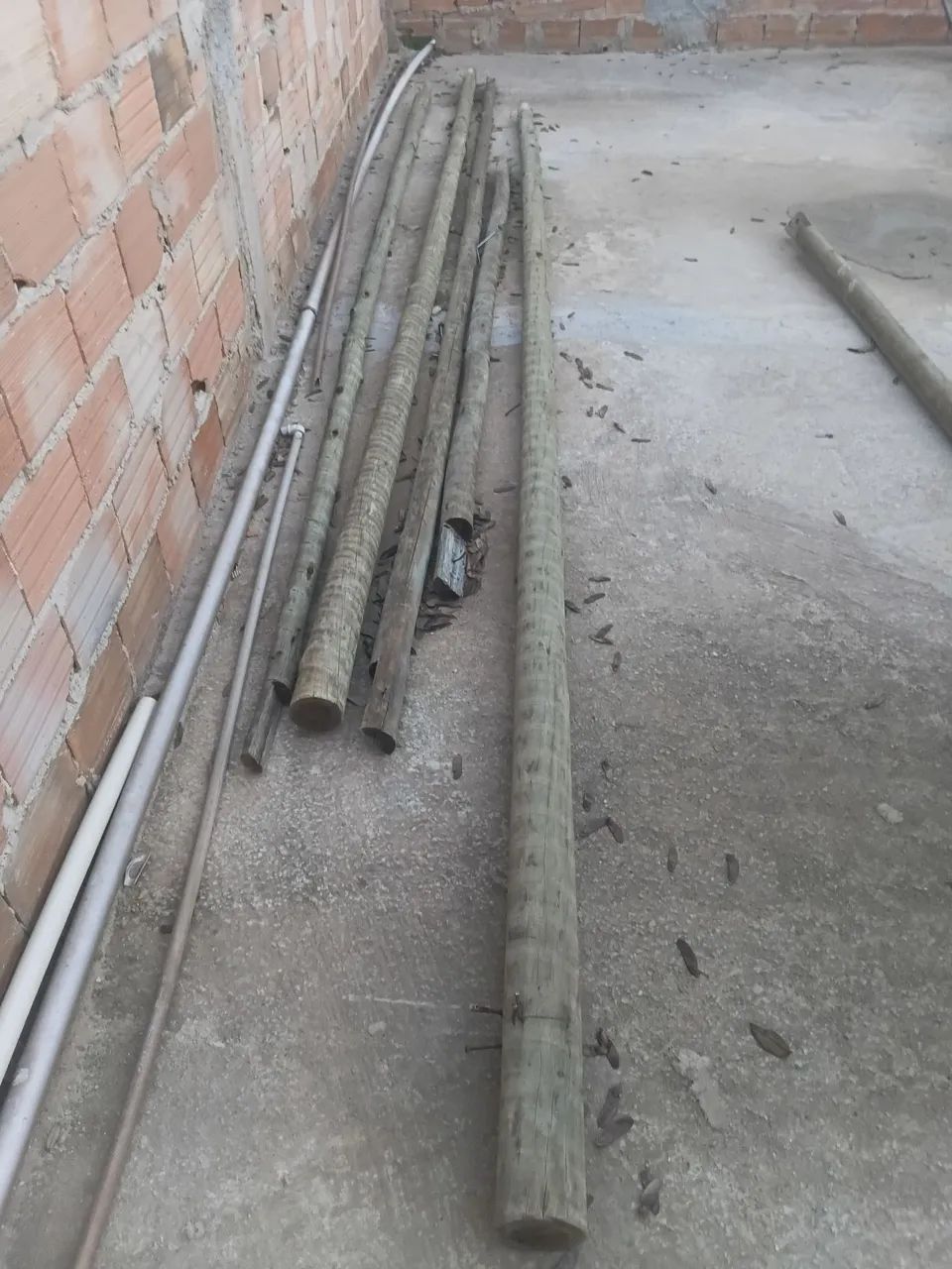 Telhas , e madeiras  5 metros  - Foto 2