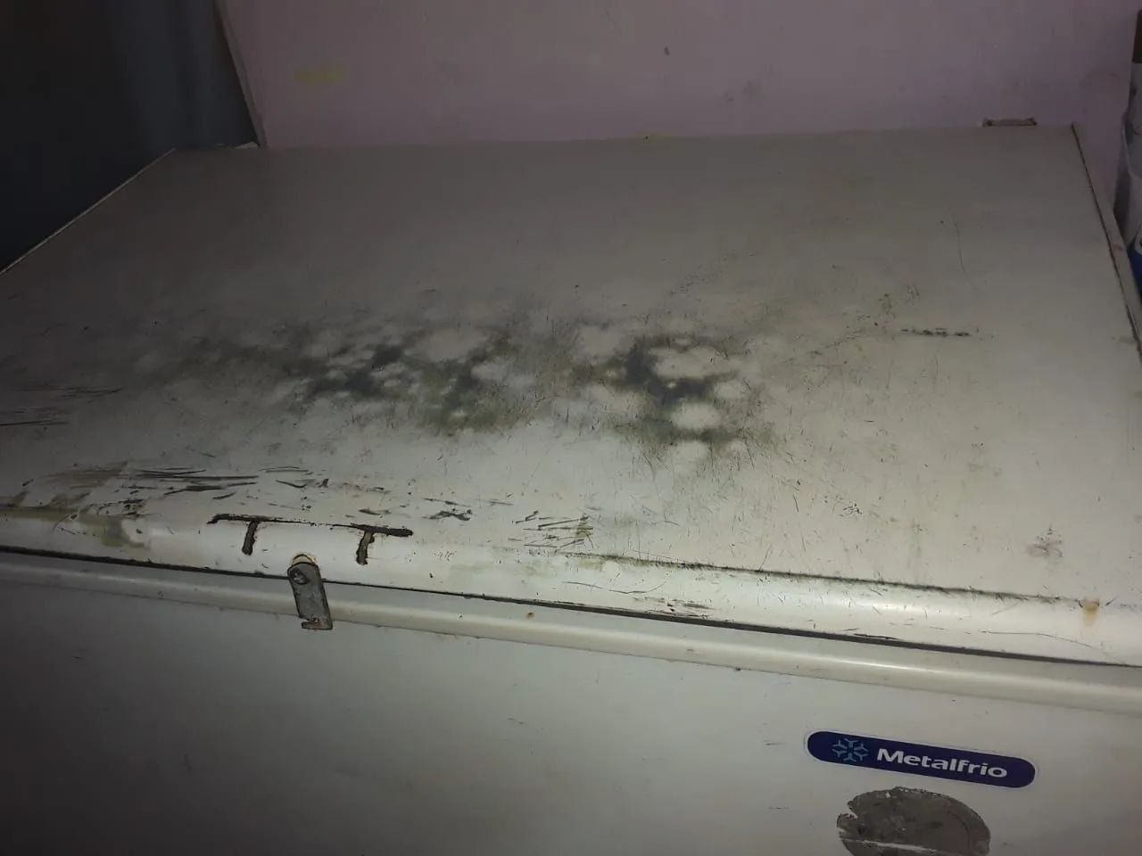 Freezer Metalfrio 110 volts 600 reais - Foto 3