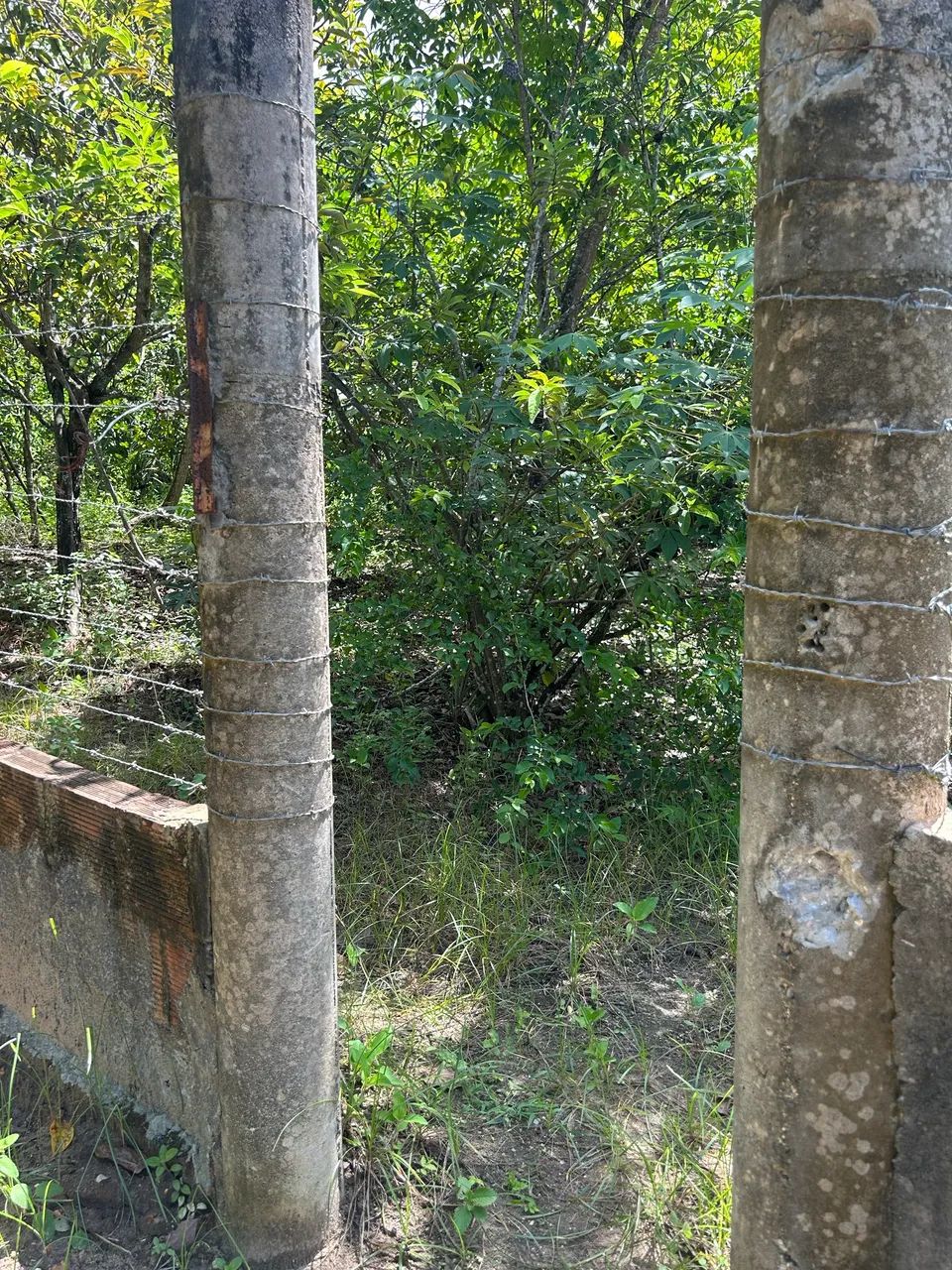 Foto - São Cristóvão - 