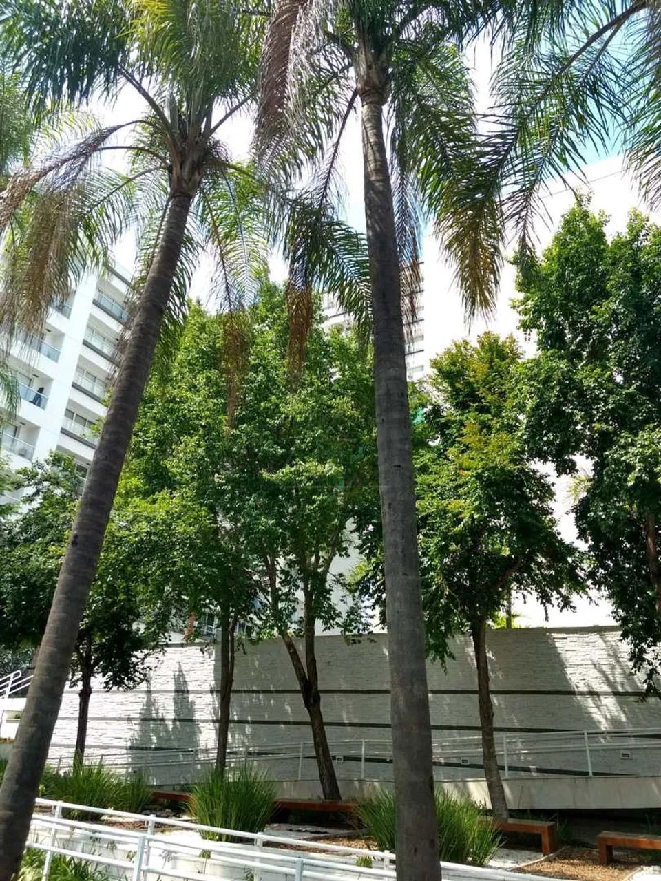 Sala, Vila Leopoldina, São Paulo - R$ 430 mil, Cod: 4157 - Foto 5