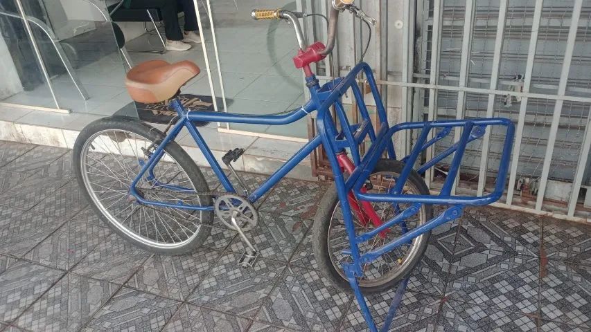 Bicicleta cargueira 