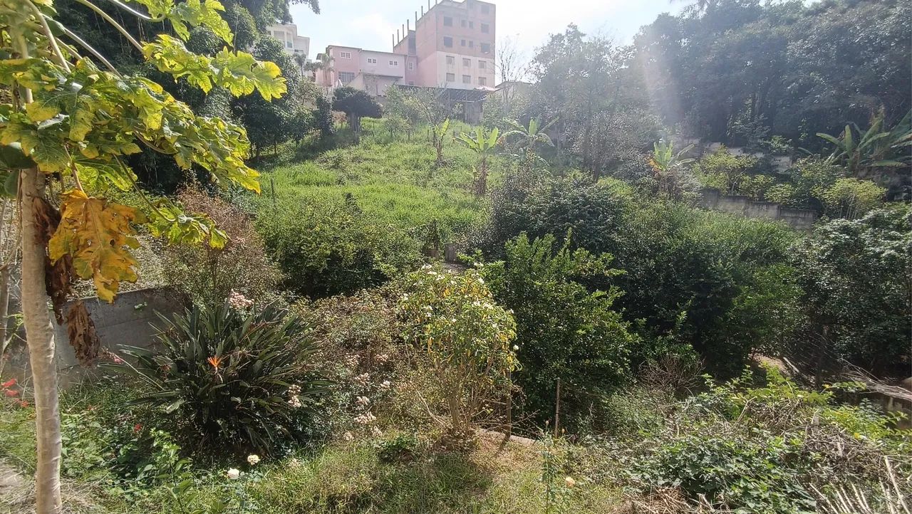Excelente oportunidade - Vendo imóvel - Foto 3