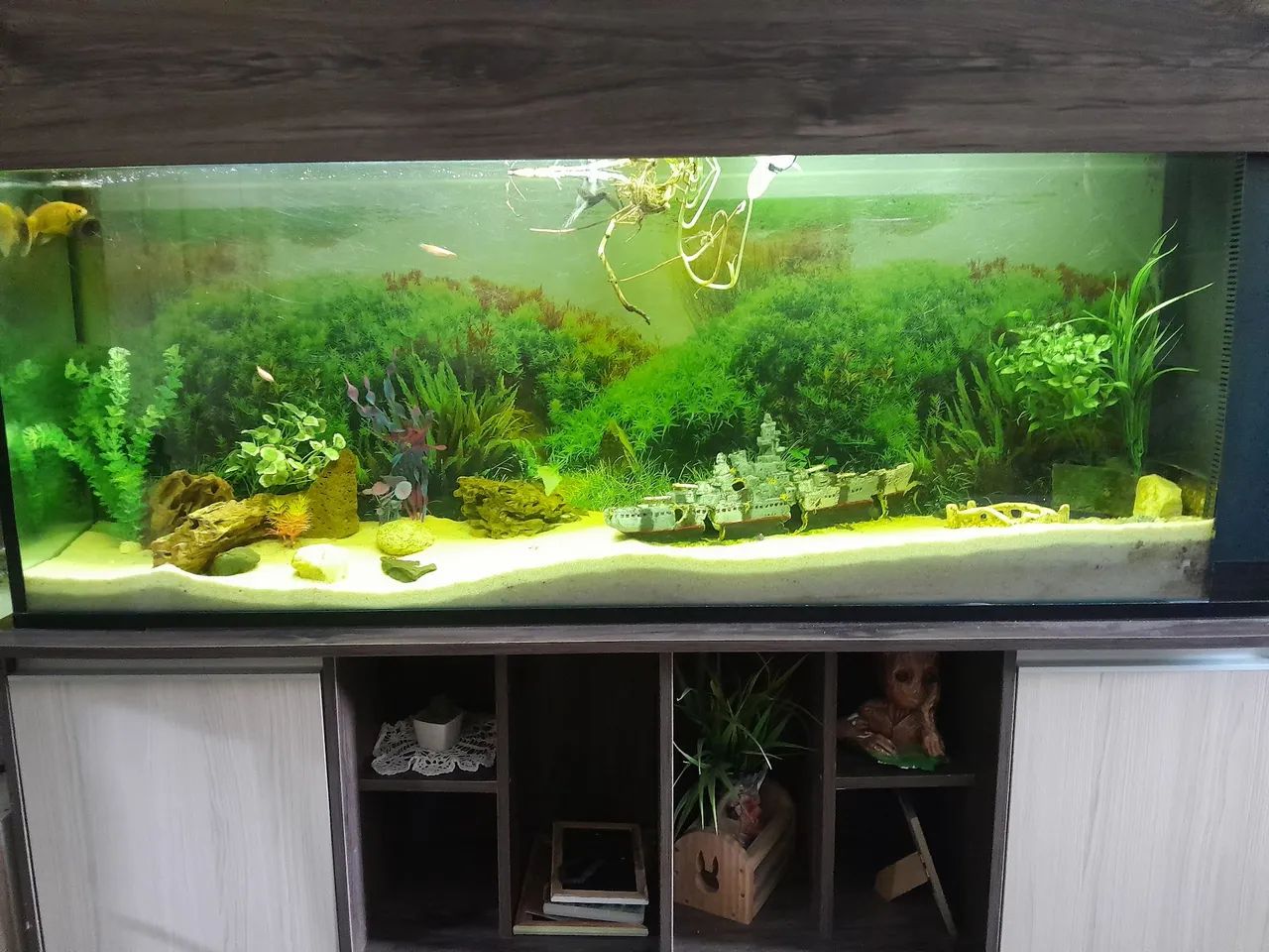 Vendo aquario completo  - Foto 2