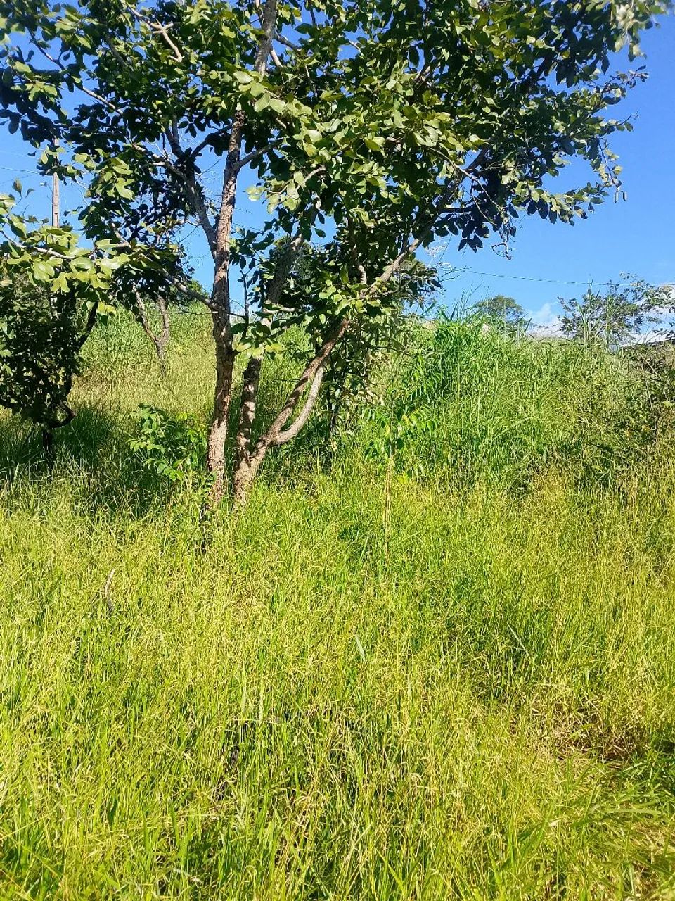 Lote360m² em sete lagoas bairro Varginha  - Foto 3