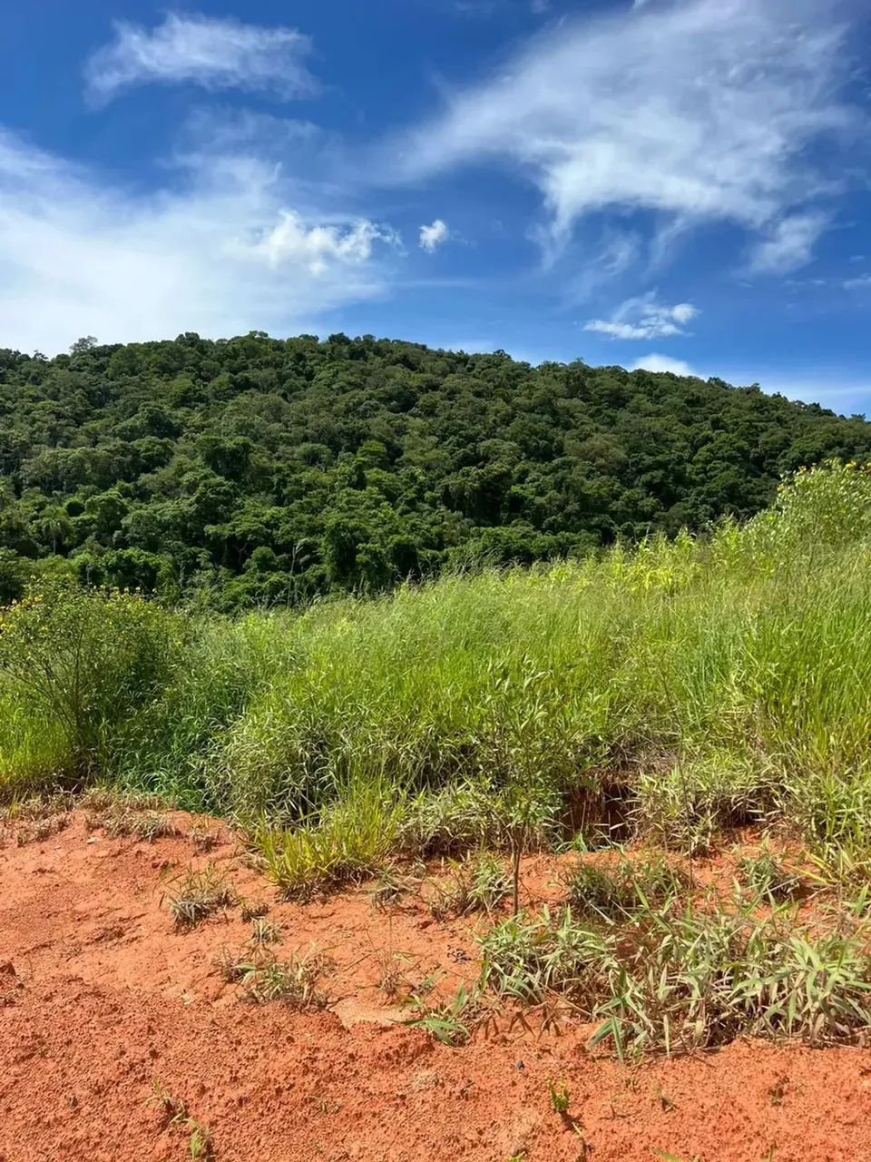 Terrenos para investidor no interior de SP - Foto 2