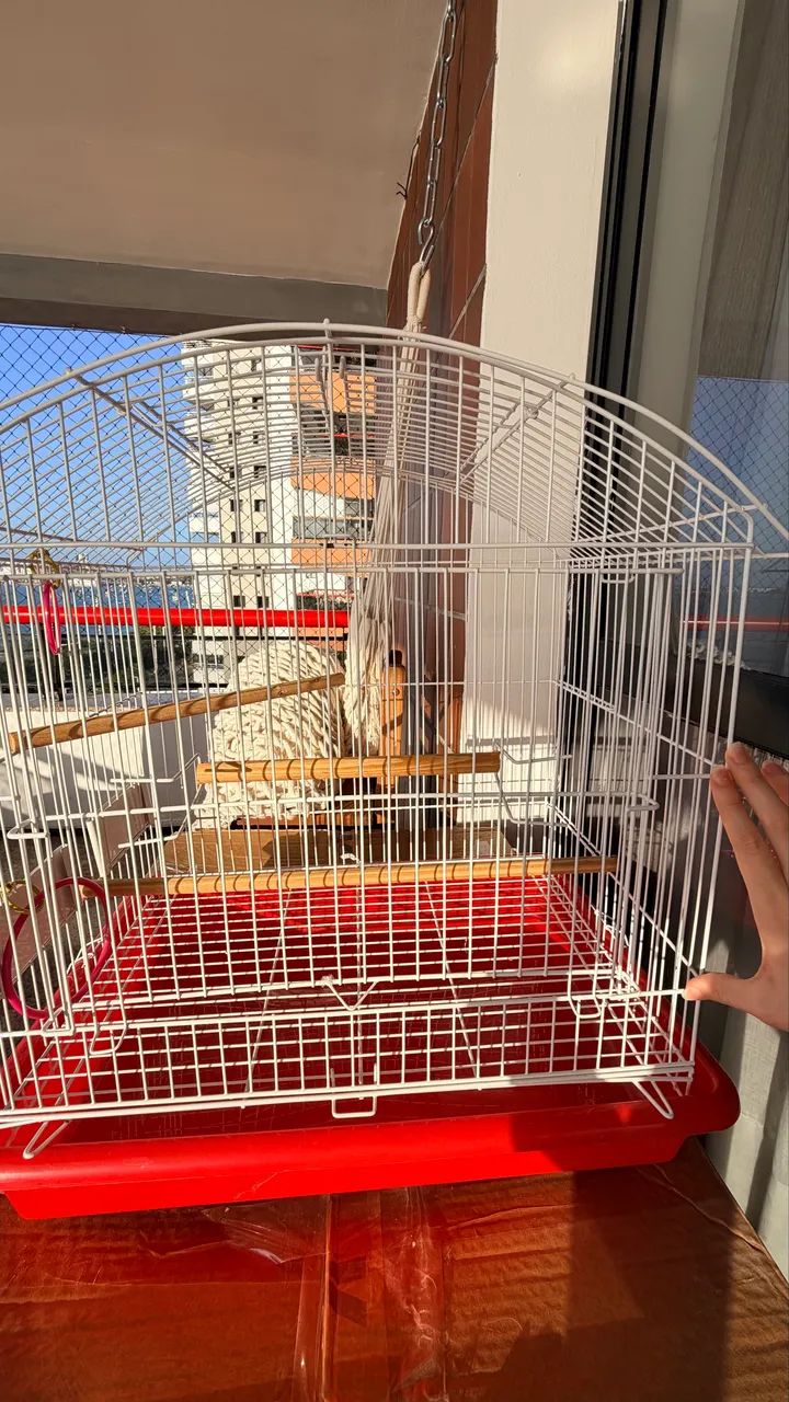 Gaiola Calopsita  - Foto 2
