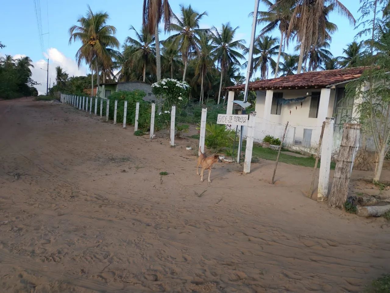 Foto - Japoatã - 