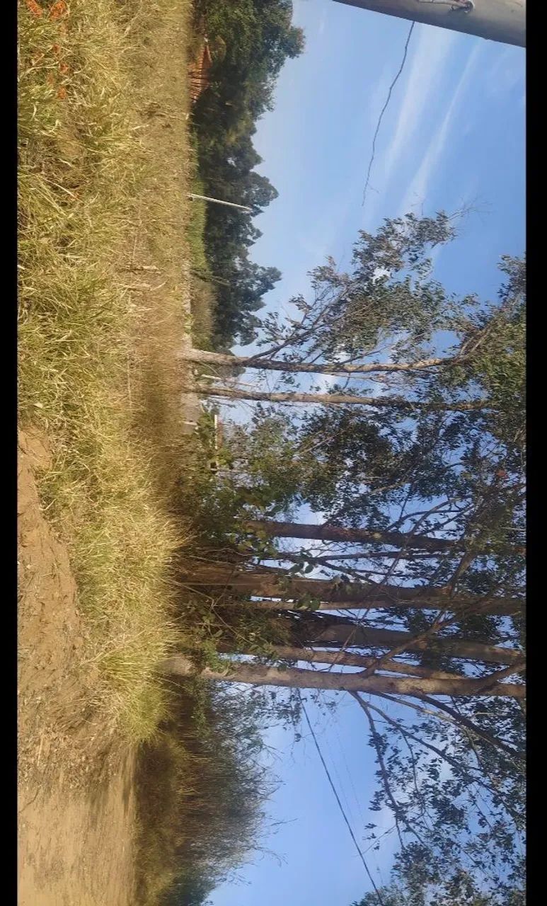 Terreno pedra bela - Foto 4