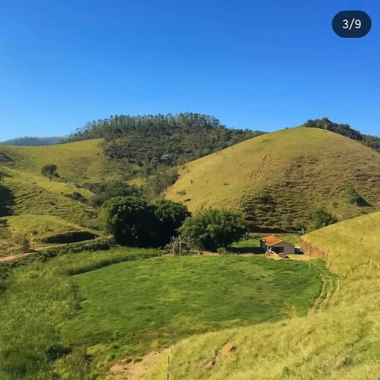 Imóvel para venda com 366604 m² - Foto 5