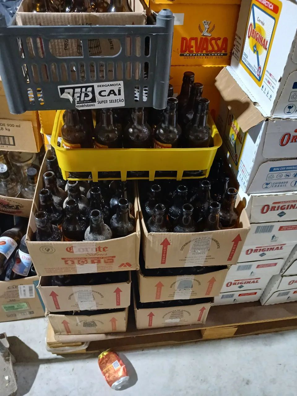 Litrinhos/Gorduchinhas  - Foto 3