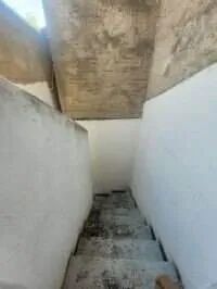 Barracão para aluguel, Xodó Marize, Belo Horizonte - Foto 2