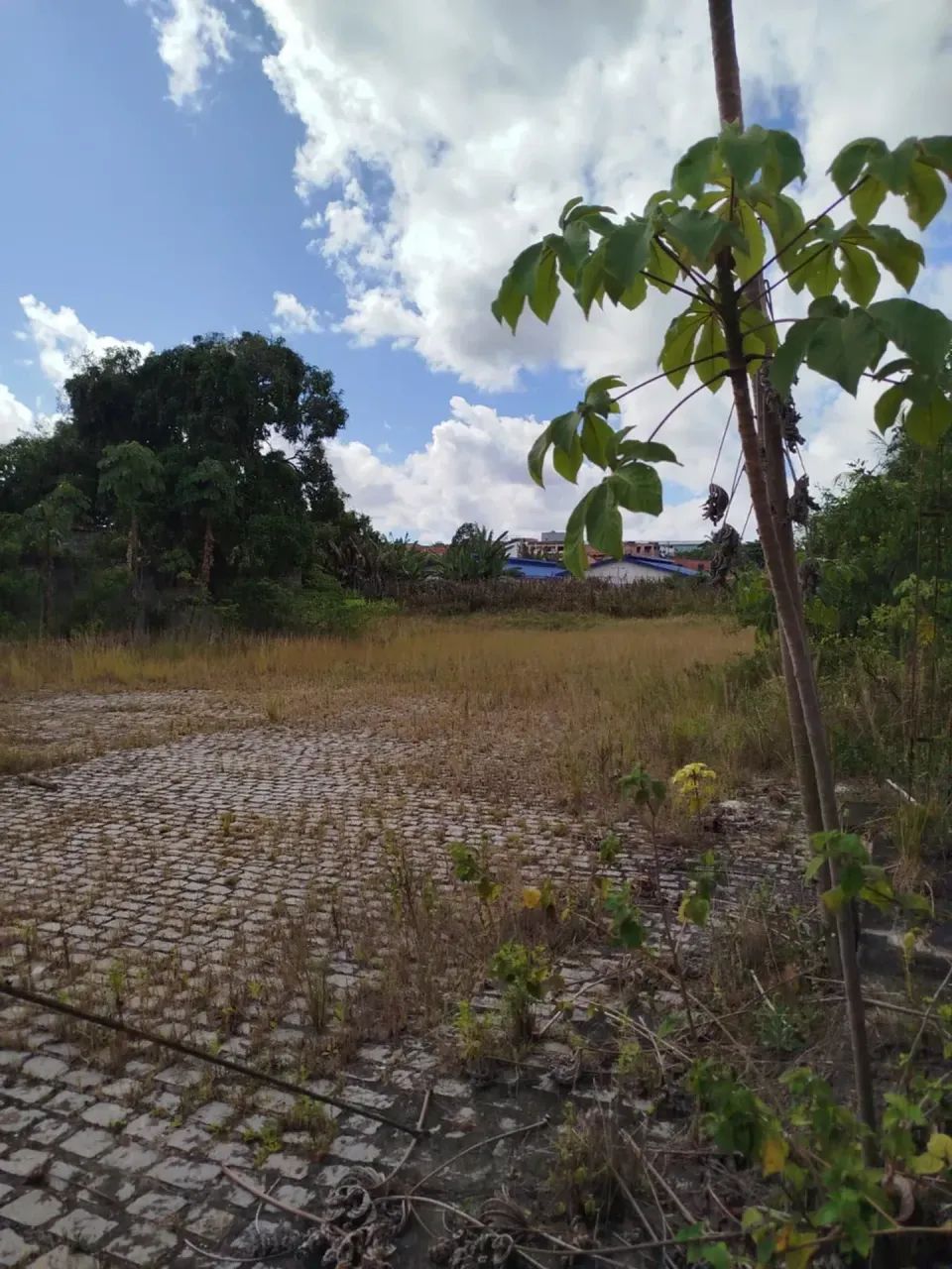 Área com 3.410m² em Nova Vitória - Camaçari - BA