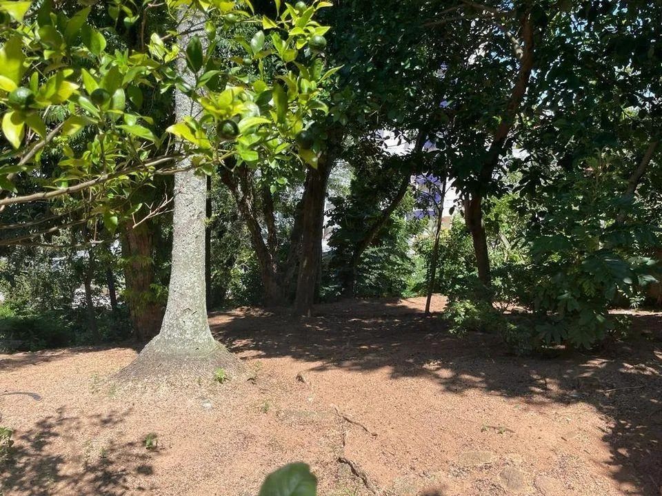 Terreno para Venda em Florianópolis, Coqueiros - Foto 5