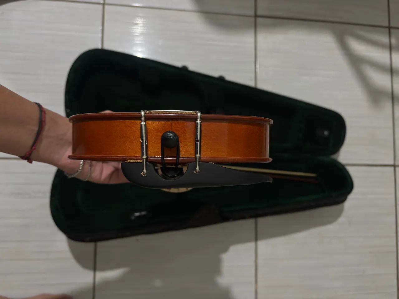 Violino parrot  - Foto 5