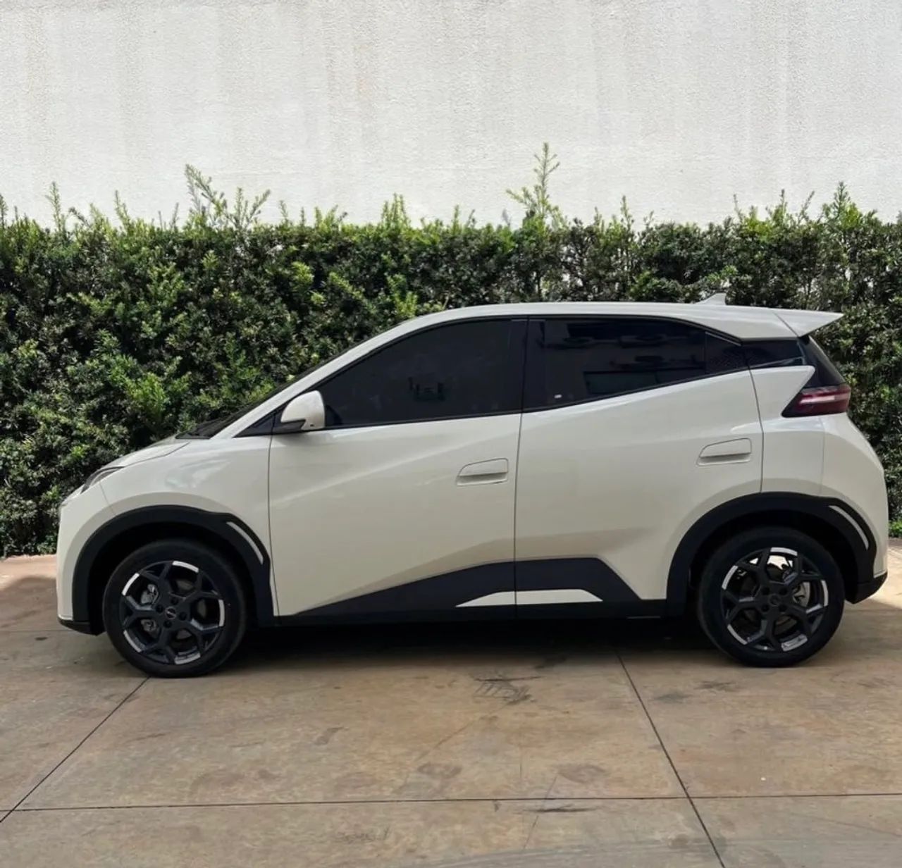 BYD Dolphin Mini (Elétrico) 2025 - Foto 3