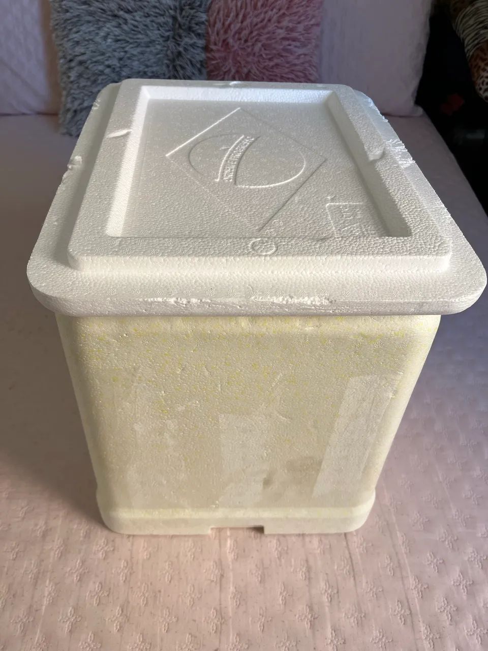 Caixa de isopor 37 Litros
