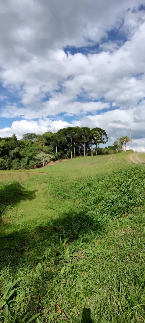 Terreno em Rancho Queimado com aproximadamente 2,5 hectares - Foto 2