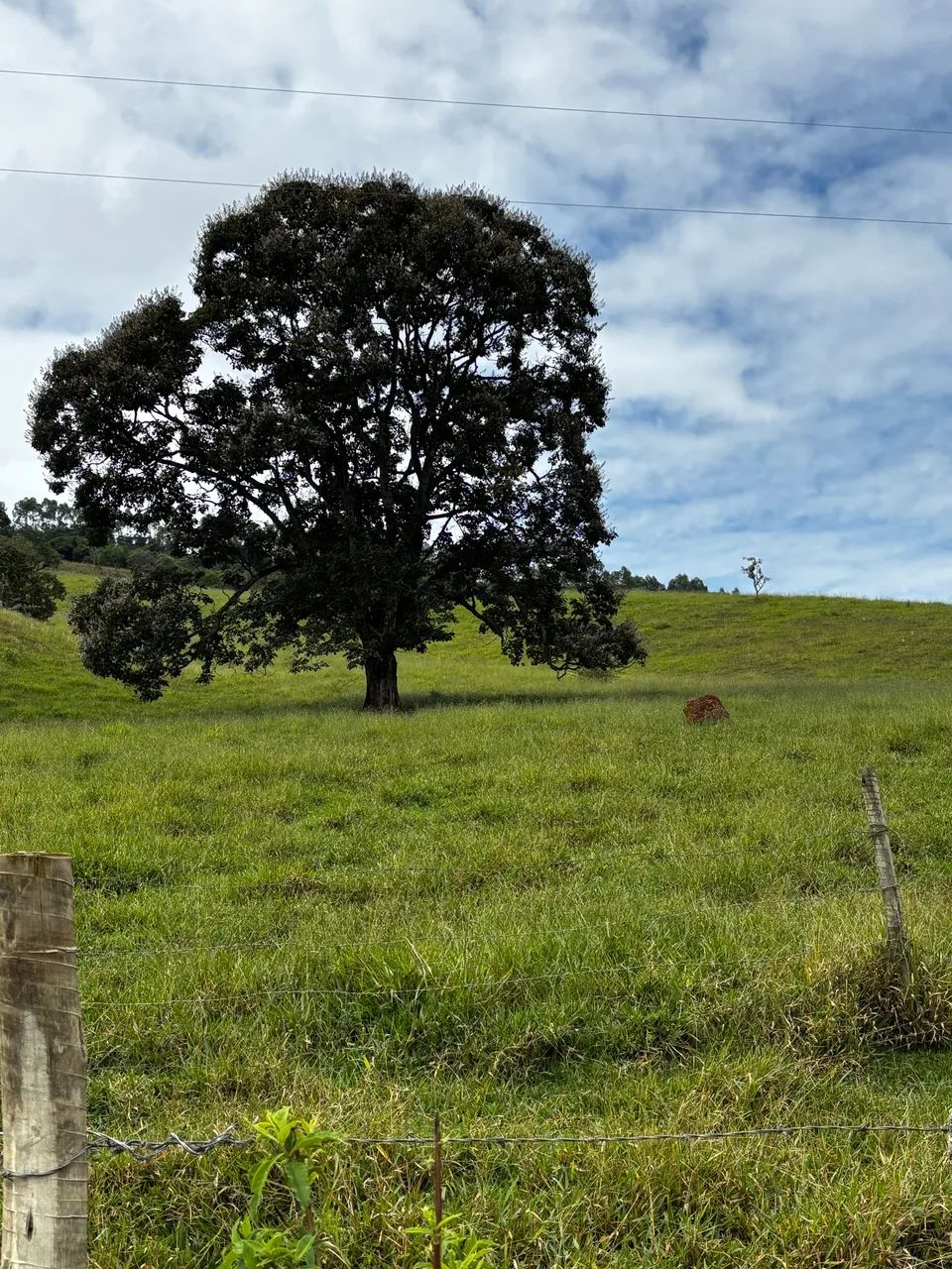 Sítio no sul de minas  - Foto 5