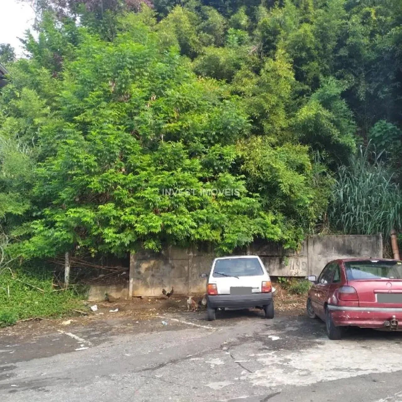 Terreno - Juiz de Fora MG - Foto 2