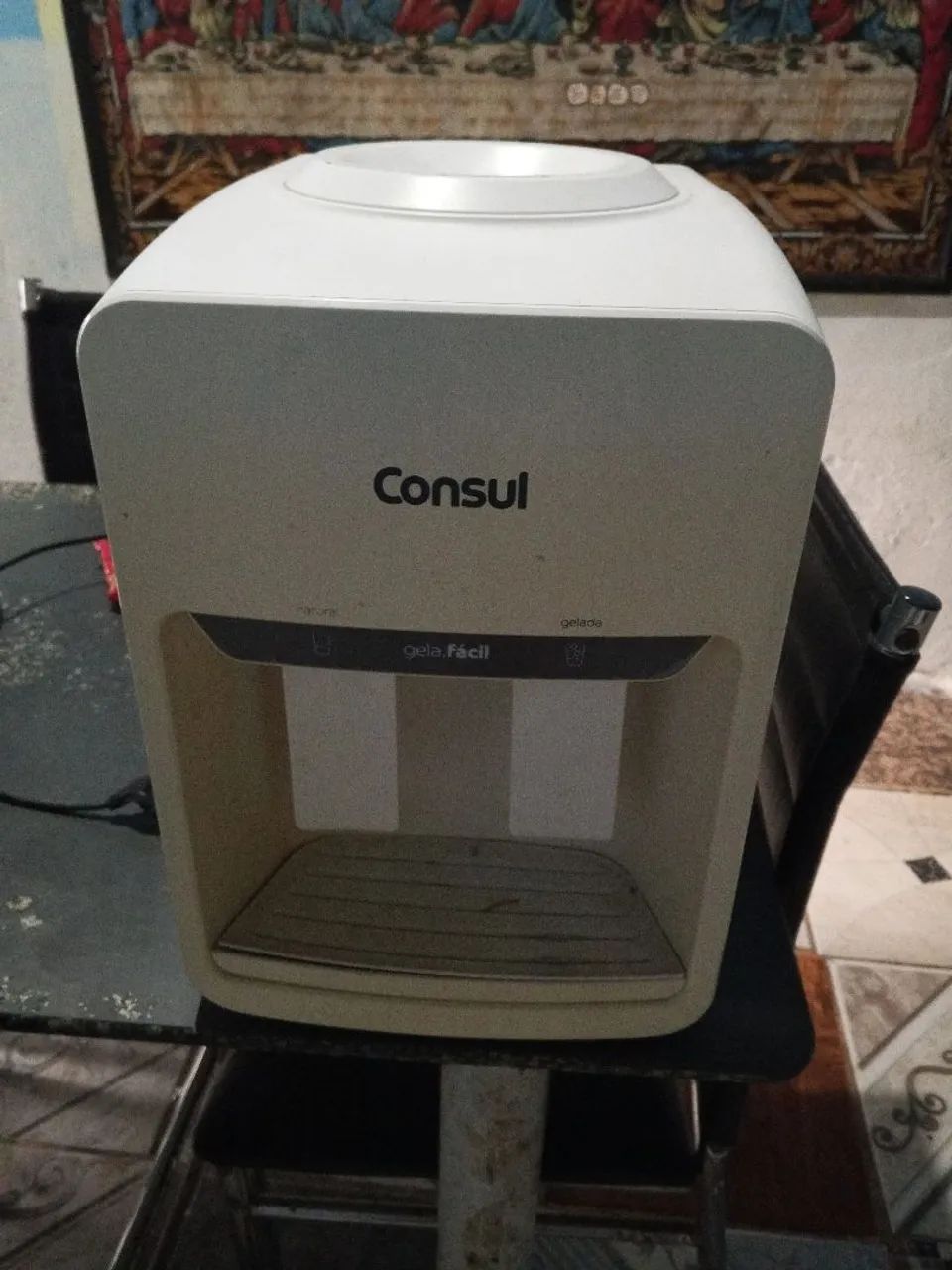 Gelagua consul 