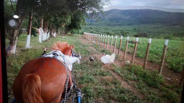 Condomínio Quintas da Serra com Terrenos e Valores Excelentes - Foto 9