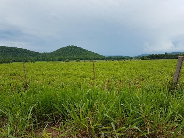 Fazenda de 34385 hectares em MT - Foto 13