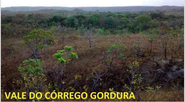 Fazenda 236 Alqueires ( 1.144 hectares) Barra do Garça-MT \ Nova xavantina - Foto 8