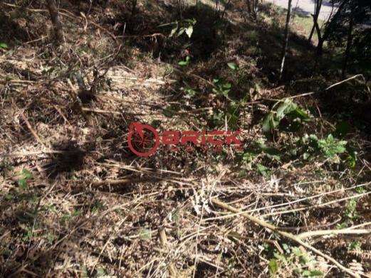 Ótimo terreno com 340 m² em condomínio em vargem grande. - Foto 7