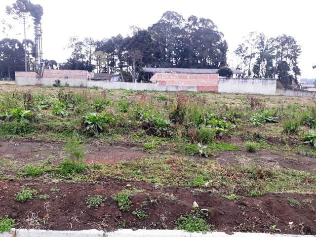 Terrenos Industriais - Foto 7