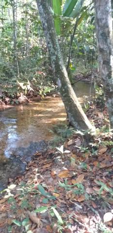 Vendo Chácaras a 15 km de Nova MUTUM - Foto 2