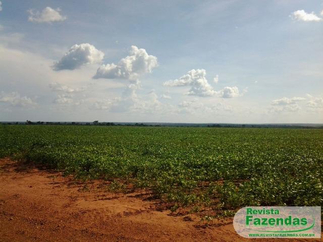 Fazenda 730 Há 480 Há Plantando Soja/Milho Entrada + 09 Pagamentos Norte MT - Foto 6