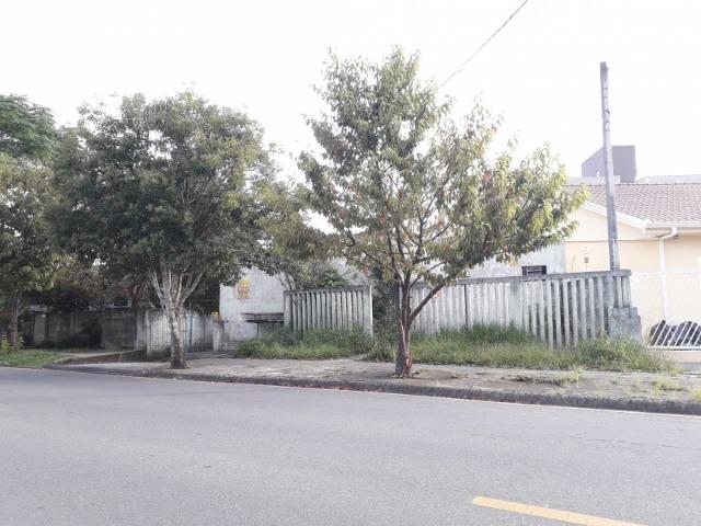 Terreno- Bairro São Cristóvão - Foto 3