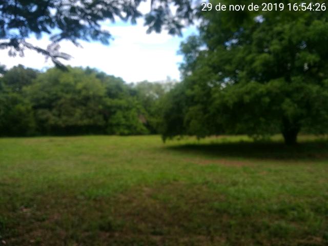 Chácara - Parque das Flores - Foto 3