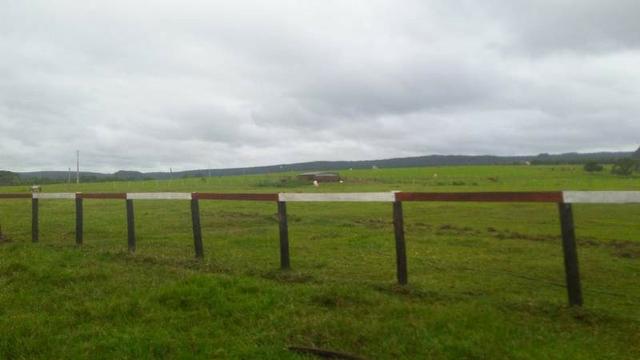 300 Alqs 200 Em Pasto Excelente Fazenda Paraúna GO - Foto 20