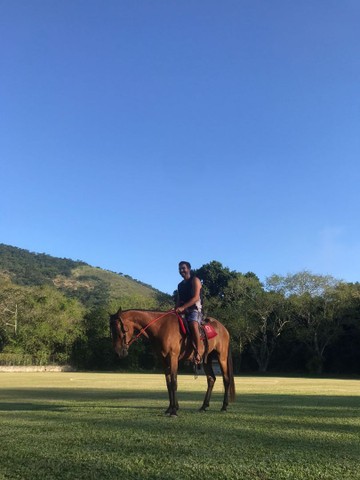 Cavalo Mangalarga 