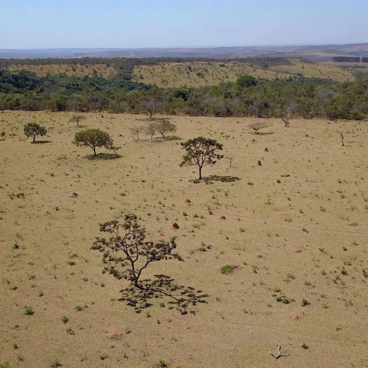 Fazenda de 6 alqueires em Girassol Cocalzinho de Goiás  - Foto 2
