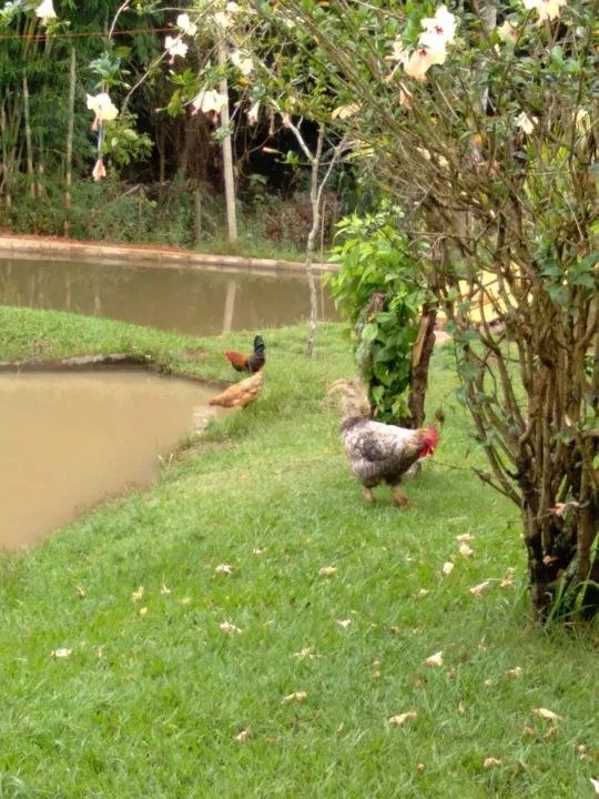 Oportunidade para você adquirir 