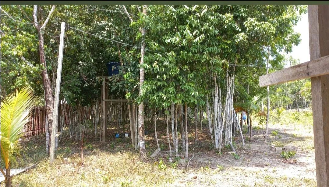 foto - Santarém - Aeroporto Velho